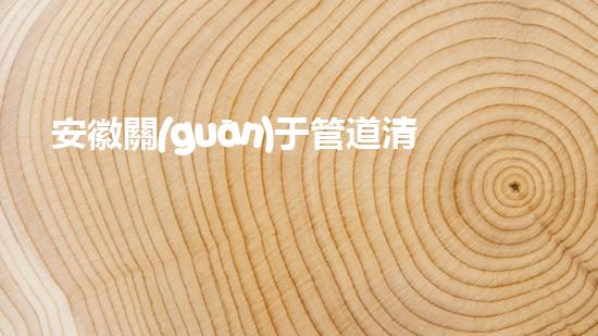安徽關(guān)于管道清淤設(shè)備管道清淤新技術(shù)如何改變行業(yè)格局！
