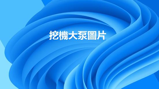 挖機大泵圖片